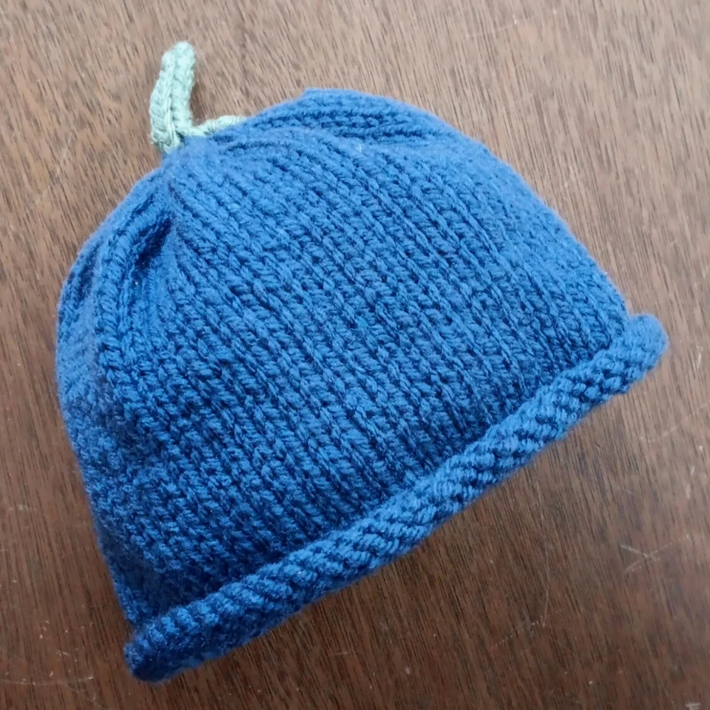 Hand Crafted Handknit Navy Blue & Green Blueberry Winter Baby Hat 3-6M